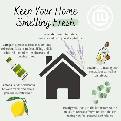 5 Natural Air Fresheners to Energize Your Home