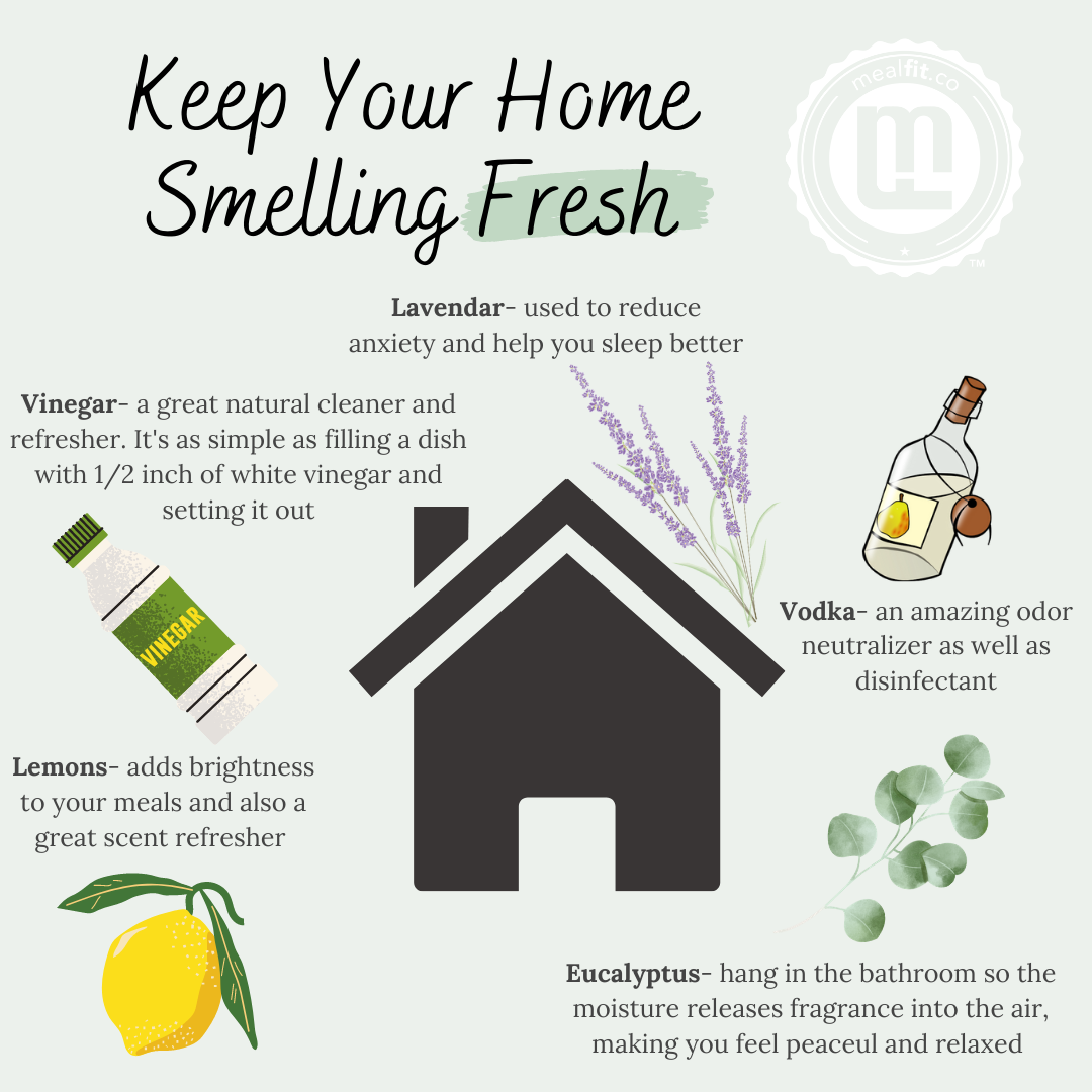 Deodorizing Essential Oils and 13 Ways to Get Stinky Smells Out of Your  Home - One Essential Community