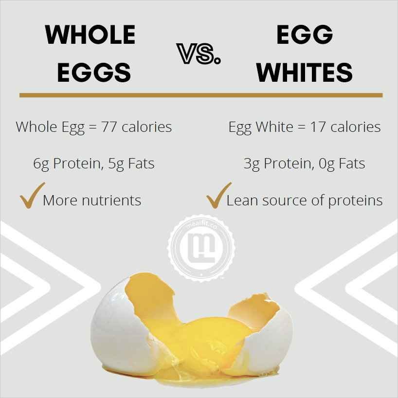 What Part of the Egg is Best?
