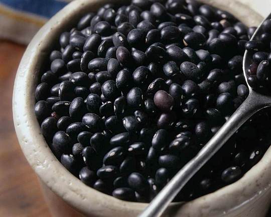 5 Things Vegetarians Need to Buy