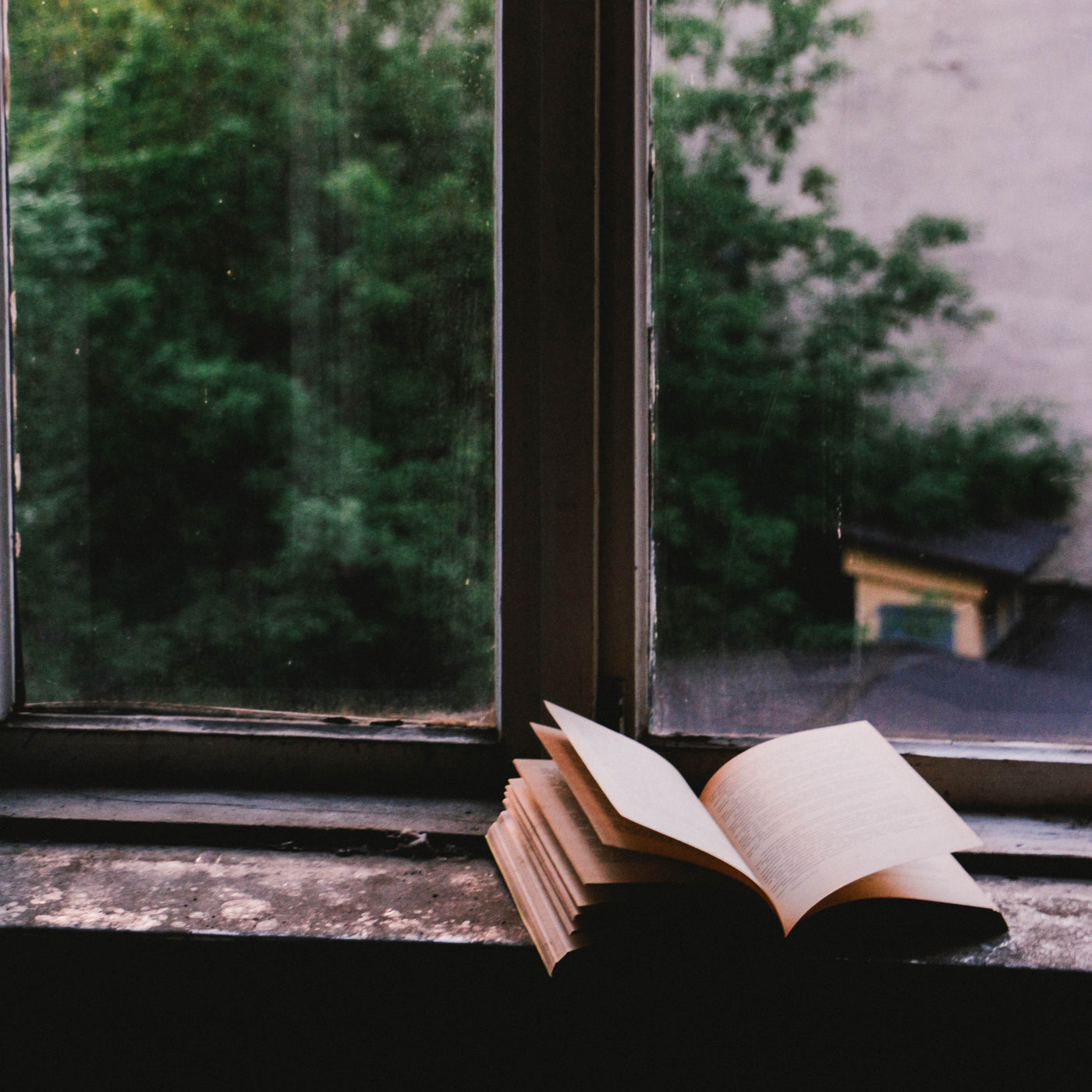 My Top 7 Books of 2017
